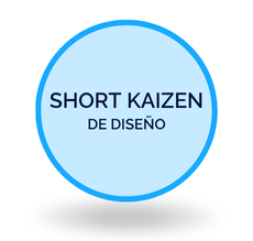 Kaizen DIS